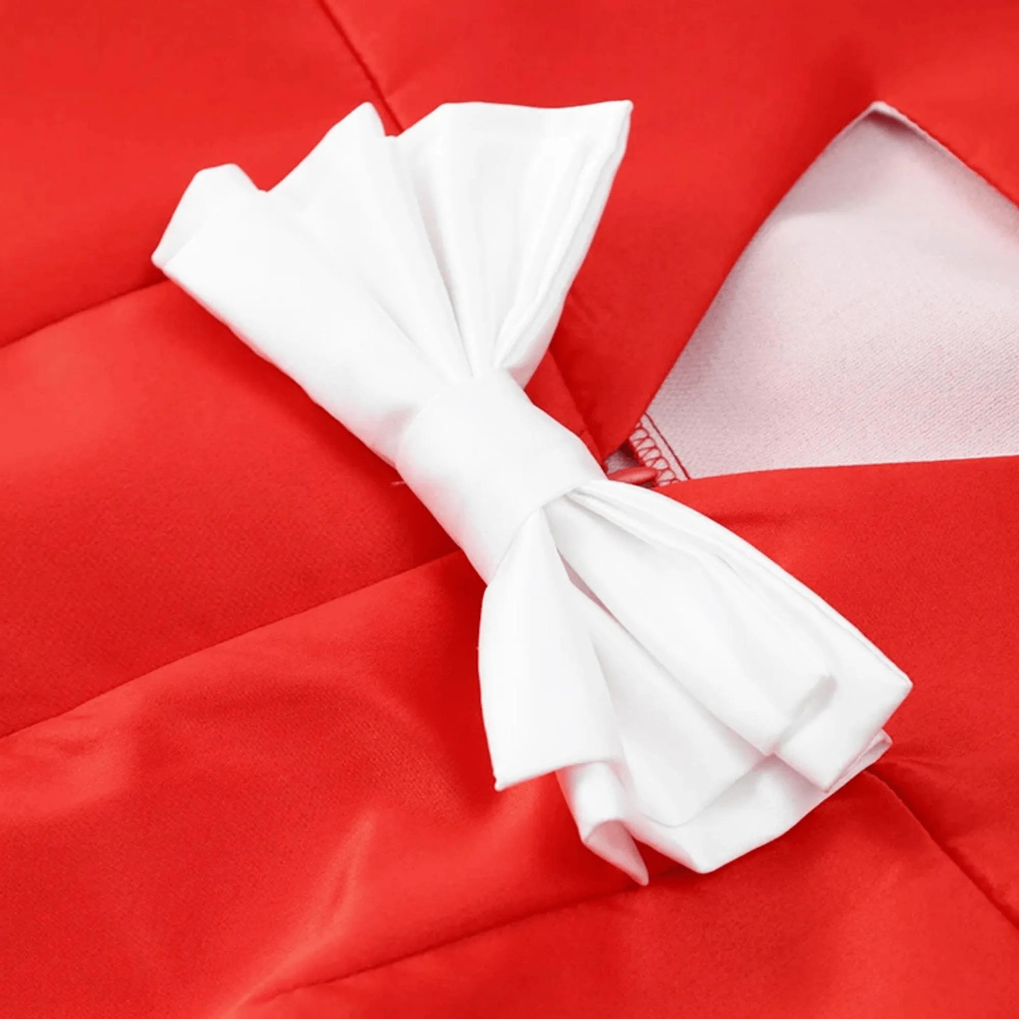 Elegant Hollow Out Red Mini Dress With Fashion Bow - Now In White Too!